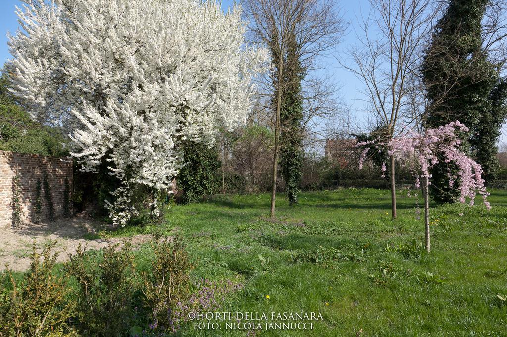 Horti Della Fasanara Guest House Ferrara Ngoại thất bức ảnh